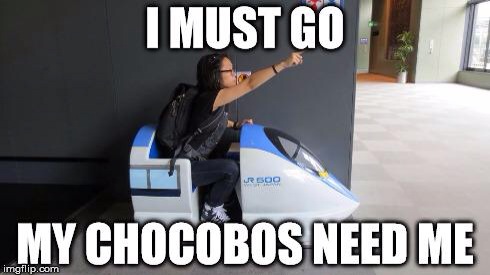 My chocobos need me!